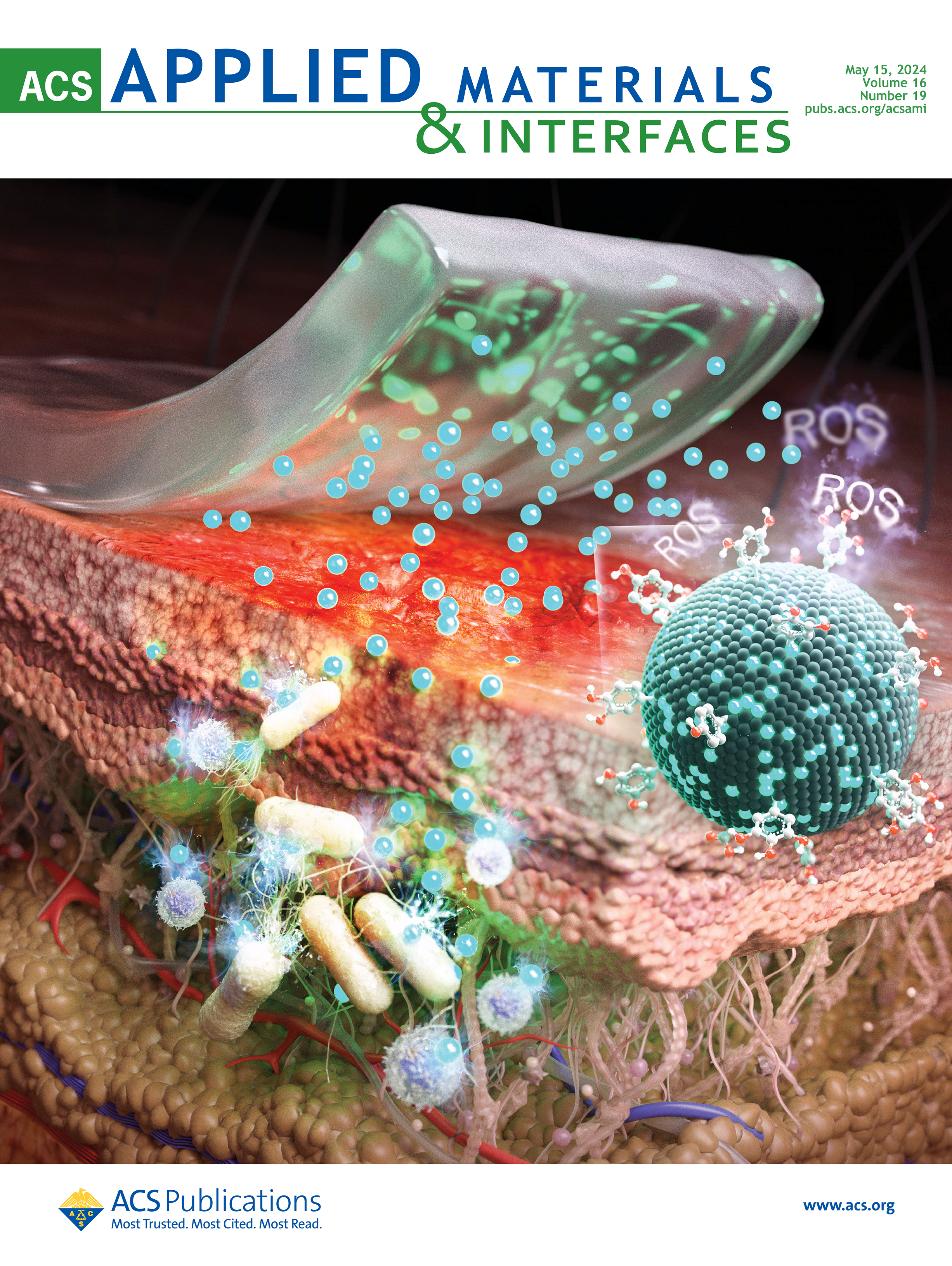 ACS Applied Materials & Interfaces Supplementary Cover