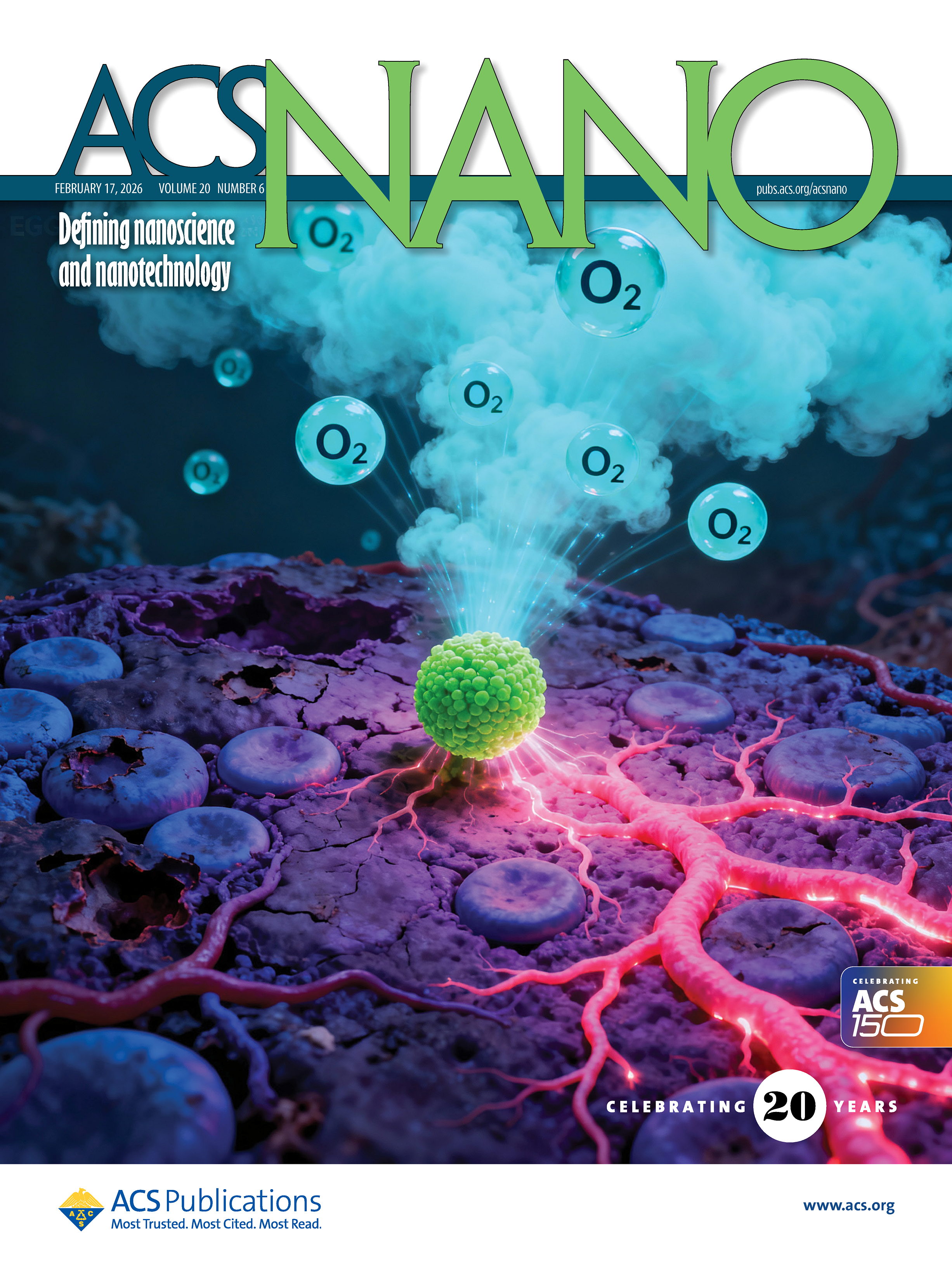 ACS Nano front cover