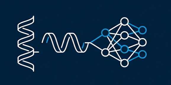 AI-based de novo peptide and protein design